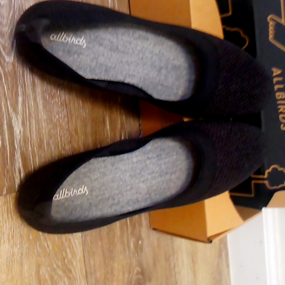 AllBirds Tree Breezers 9.5